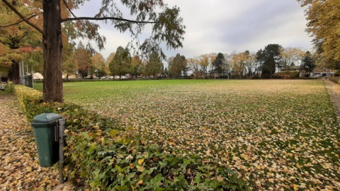 Oude TAR veld en omgeving wordt opgeknapt