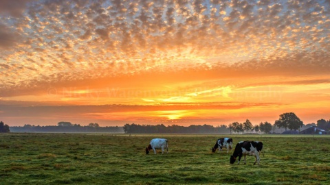 Verzet  tegen windturbines in Noord Oost Twente groeit