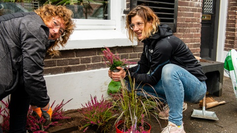 Provincie steunt verticaal groen in Losser