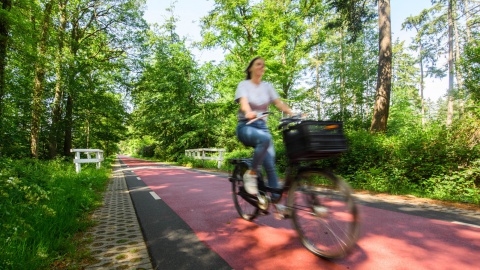 Gratis e-bike lenen voor fietsstraat Losser Enschede