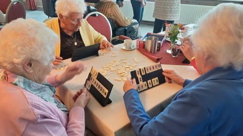 Oud Hollandse spellen Zonnebloem