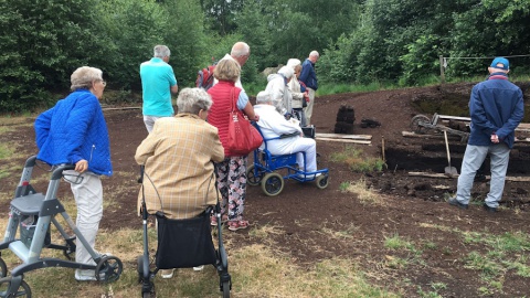 Zonnebloem naar Veenmuseum