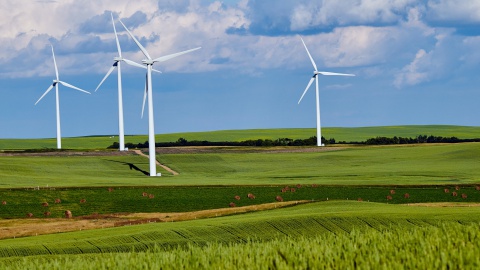 Leerlingen werken aan Project Duurzaamheid