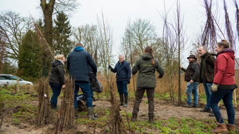 Boomdeeldagen bieden Lossernaren betaalbaar groen