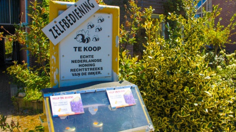 Bijen door het seizoen heen