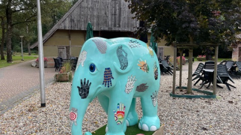 Acties Kraesgenberg rondom Elephant Parade