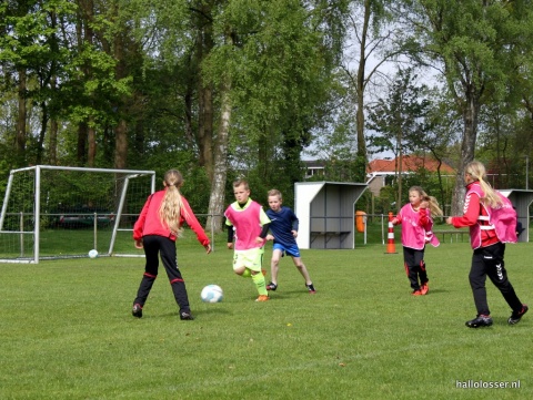 Tulpweek Overdinkel al jaren een succes