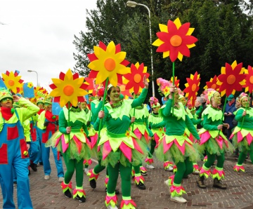 Update: Carnavalsoptocht 2020 door Losserse fotografen