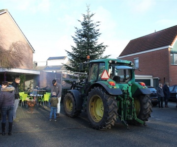 Kerstboom Hofkamp-West