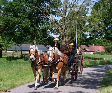 Koetsnkearls in Losser
