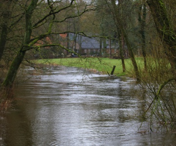 Hoogwater van de Dinkel – door Astrid Velthuis