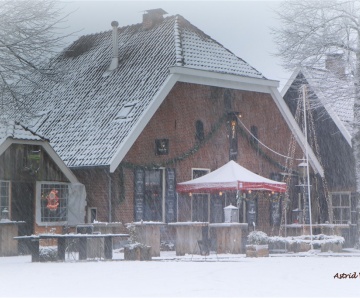 Winterwandeling in Losser door Astrid Velthuis