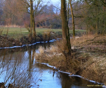 Afscheid van de winter – door Astrid Velthuis
