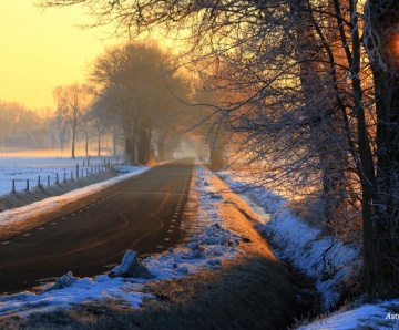 Winterwandeling door Astrid Velthuis