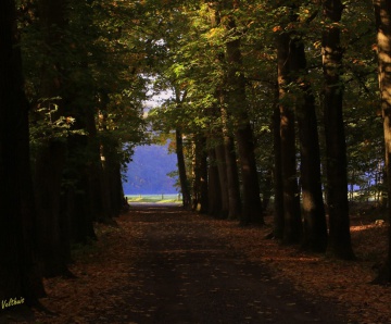 "Indian Summer" door Astrid Velthuis