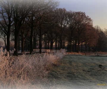 Winterfoto’s van Astrid Velthuis